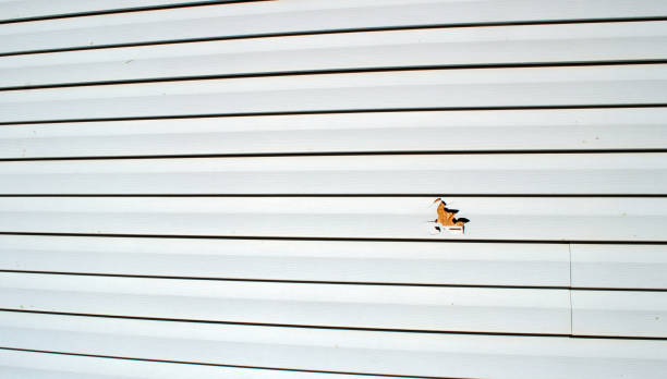 Custom Trim and Detailing for Siding in Fowler, CA